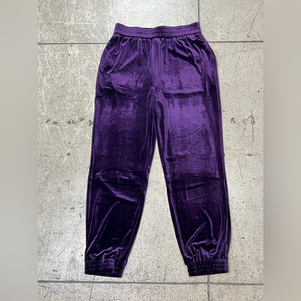 💚 3256. Velvet Purple Jogger Pants